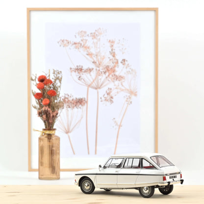 Citroën Ami Super 1974 “Meije White” – Die‑Cast Norev