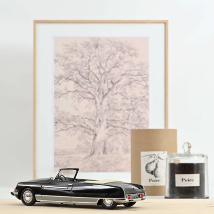Citroën DS 21 Palm Beach 1968 Black – Die‑Cast Norev
