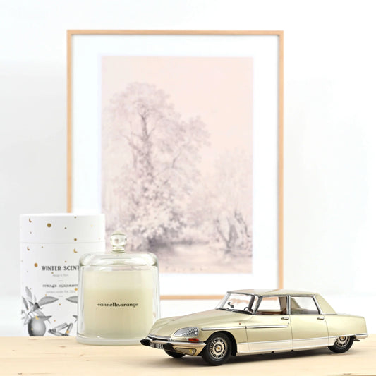 Citroën DS 21 Lorraine 1969 Champagne – Die‑Cast Norev