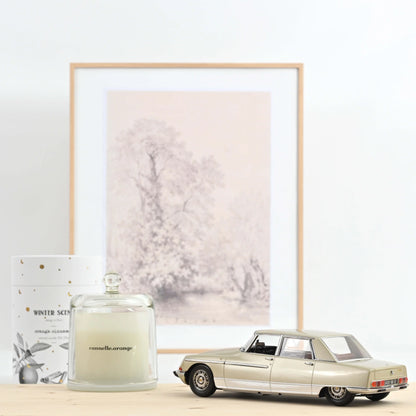 Citroën DS 21 Lorraine 1969 Champagne – Die‑Cast Norev