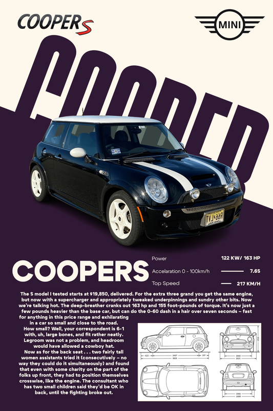 Personalizovani poster Mini Cooper S na slikarskom platnu ili vinilu